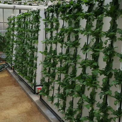 Skyplant aangepaste NFT verticale klimaatcontrole hydroponische kweeksystemen