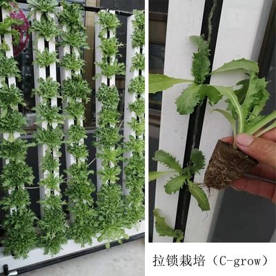 Skyplant aangepaste NFT verticale klimaatcontrole hydroponische kweeksystemen