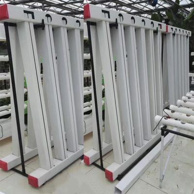 Skyplant aangepaste NFT verticale klimaatcontrole hydroponische kweeksystemen